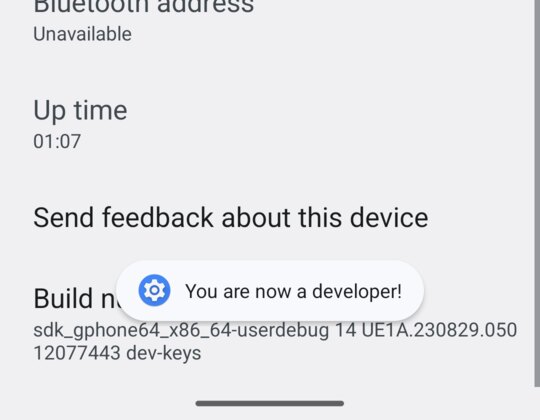 The bottom of the “About phone” screen: “Build number” and the message “You are now a developer!”